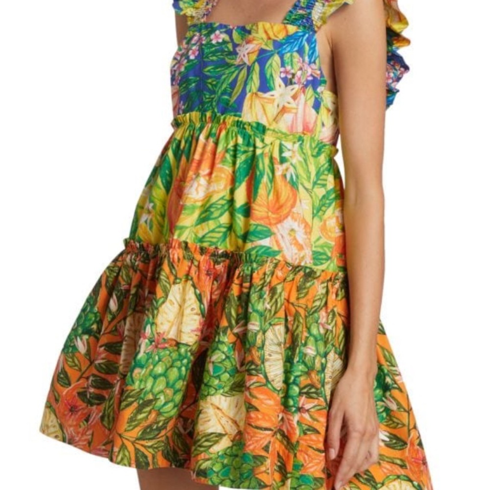 FARM Rio Multicolor Floral Mini Dress - Picture 6 of 7